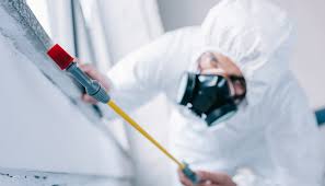 Best Termite Inspection and Treatment  in Windsor, IL